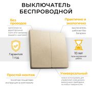 Выключатель беспроводной FERON, TM82, 7мВт, IP20, двухклавишный, золото